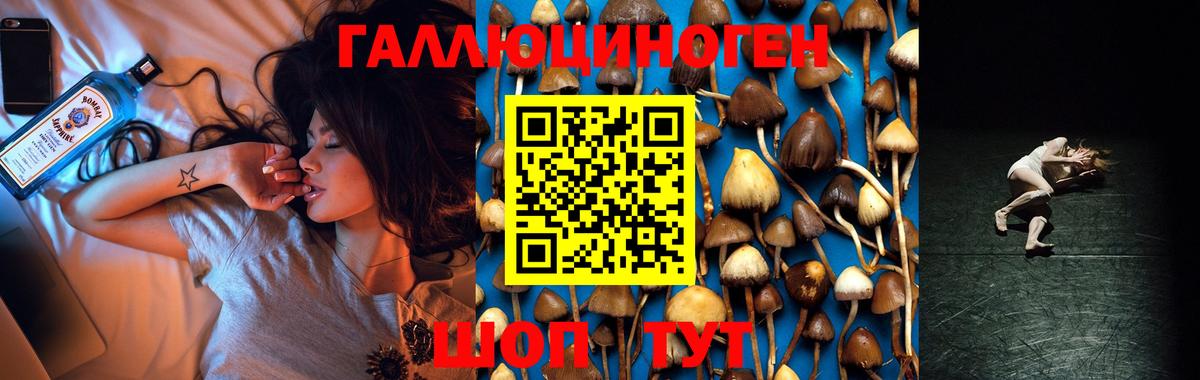Галлюциногенные грибы GOLDEN TEACHER Алушта